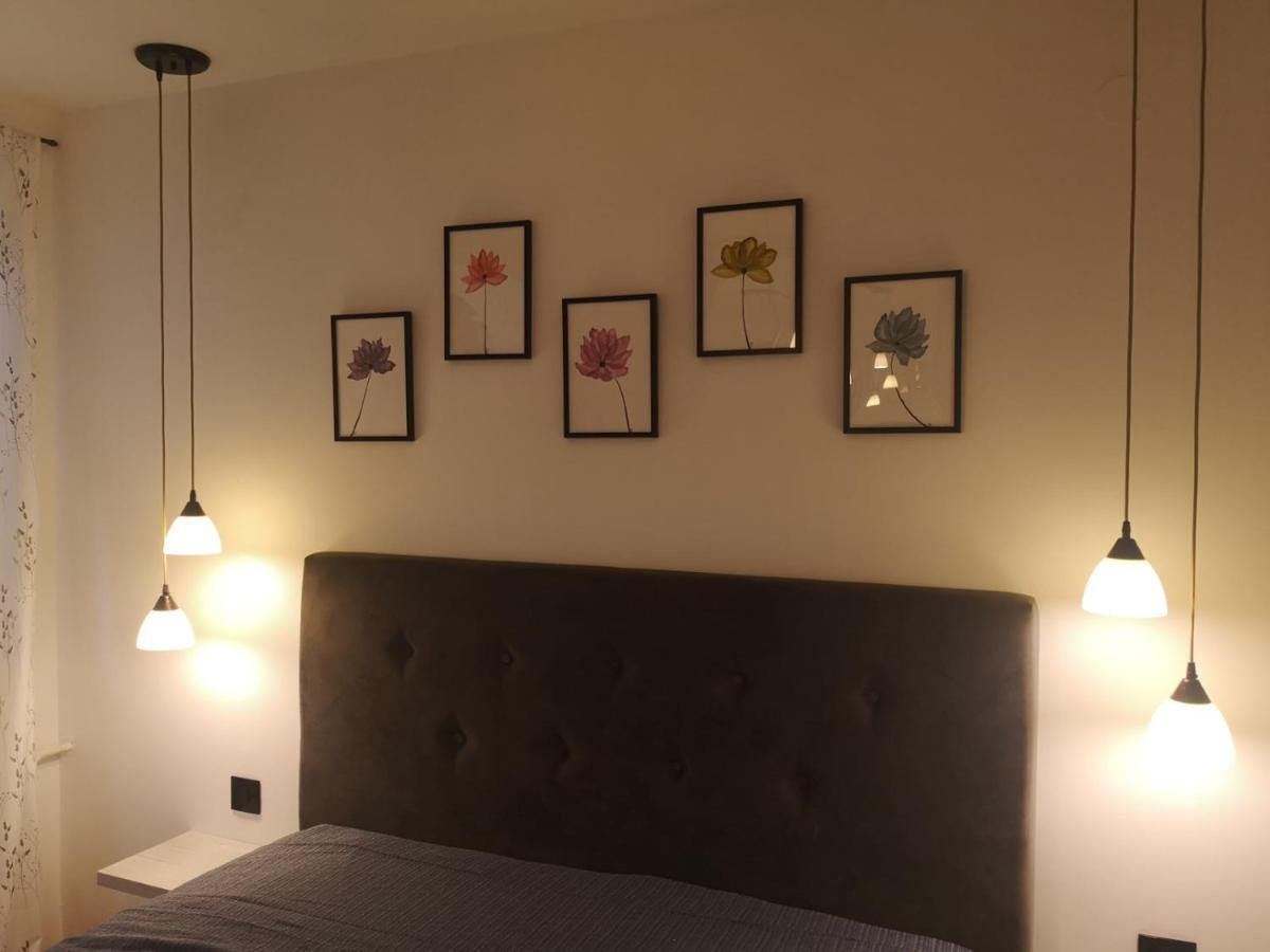 Apartman Darvin / Lux Bělehrad Exteriér fotografie