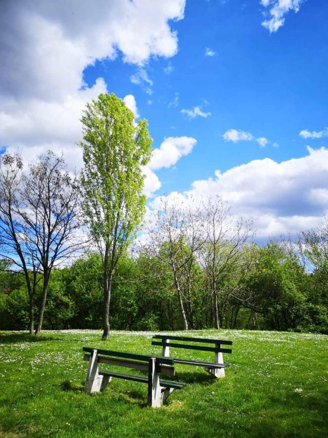 Apartman Darvin / Lux Bělehrad Exteriér fotografie